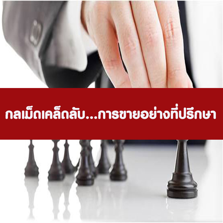 กลเม็ดเคล็ดลับ การขายอย่างที่ปรึกษา Professional Selling consultant (อบรม 16 มิ.ย. 66)
