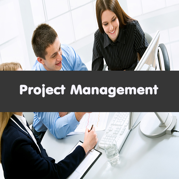 Project Management