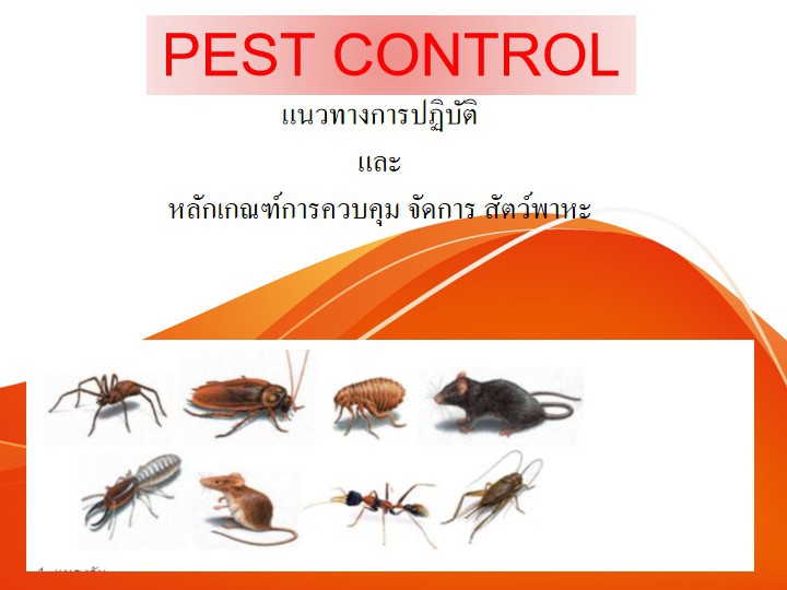 ออนไลน์ Zoom - หลักสูตร การบริหารจัดการ การควบคุมแมลงและ สัตว์พาหะนำโรค (PEST Control and Management)