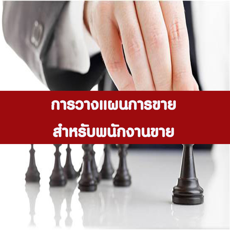 การวางแผนการขายอย่างมืออาชีพ